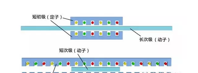 [直線電機的分類]有哪些類型的直線電機？其結(jié)構(gòu)如何？